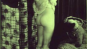 Vintage animalation cartoons.