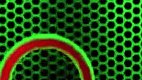 Alexis Golden Eats Pussy In Girl On Girl Lesbian Action!