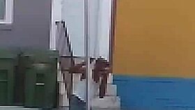 Strip Club Orgy With Dancing And Clothes Ripped