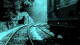 Vintage animalation cartoons.