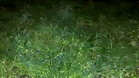 We hid from the rain in an abandoned place for lesbian sex.