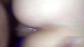 fuck my ass solo torito culito rico