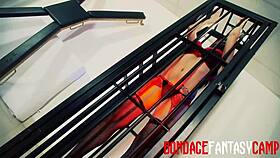 Mai Bailey and Krystal Webb Explore Lesbian Fetish with Ass Licking and Pussy Fingering in Latex