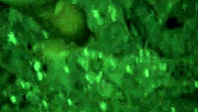 eu e minha amiga compartilhamos momentos especiais.