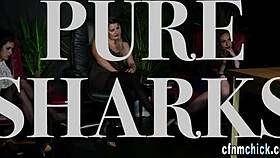 cfnm femdom babes sucking in group