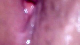 My Wet Pussy Is Starving for Your Cock