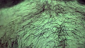 What A Hot Sitting Anal Fuck From The Slut Wife!