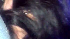 Awesome BJ with Sexy Sucking Action