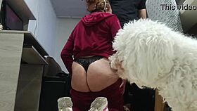 Milf Administrator Visits For Oral Fun