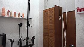 Alexandra Miret Sado 13 Transsexual Scene