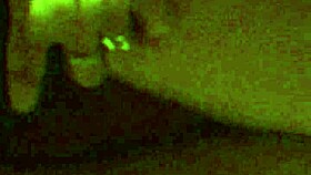 Why Does My Wife Cum So Hard with a Dildo?