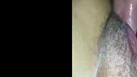 Amateur compilation of various scenes