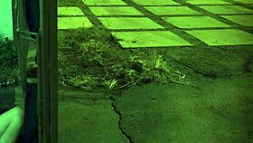 Y SOLO FINGERING SQUIRT HD XXX Unless You're From The Extreme!