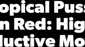 alluring in red teaser high heels, tropicalpussy teases with fetish vibes 😍