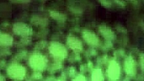 Milf flashes in household, but the fucking happy end surprises