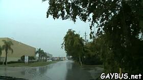 Dilettante Gay Sex Featuring Hardcore Fucking And Oral Action!