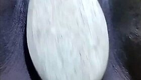 i'm playing with my shaved ebony pussy close up, cyndy blackslave