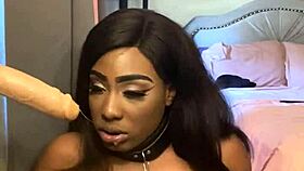 lexo butterfly sucks that cock off the wall