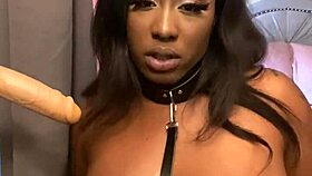 lexo butterfly sucks that cock off the wall