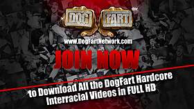 i watch sara jay suck bbc at gloryhole