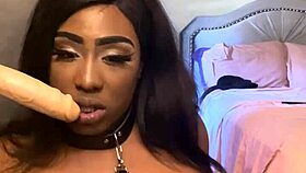 lexo butterfly sucks that cock off the wall