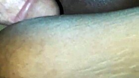 hard dick gets sucked real good by somebody moma