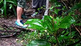 i join guys in forest orgy