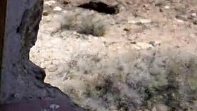 Beautiful Spanish amateur meets guy on Tinder in Tenerife for outdoor encounter.