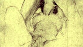 vintage erotic drawings from retro anime hentai collections.