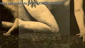 the wonderful world of vintage pornography is amazing