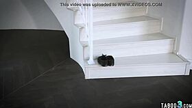 الخادمة السمينة ميلف أنجيلا وايت تخدم زب عملاق بصدرها الضخم.