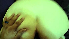 Chubby fox enjoys morning intimacy at home