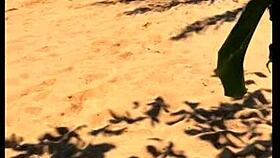 My Wife Pees Long Stream On African Beach With Amateurs