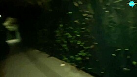 i forgot i had these toys in my wet pussy, what a slutty moment