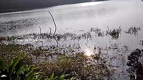 Passionate Couple Pauses for Intimate Ass Play by Reservoir