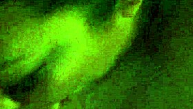 Homemade Hotel Encounter: Intimate Blowjob or Secret Affair?