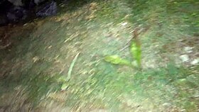 Married Fanny Boldly Shows Off Her Ass Without Panties in Public Street