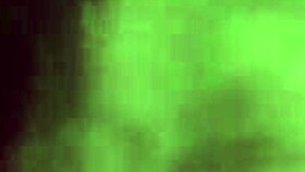 mature white trash sucking small black cock in intense blowjob session