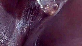 ebony solo squirts with toys