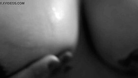 Charm Of Sperm - Cum On Latina Girlfriend's Tits