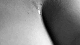 Charm Of Sperm - Cum On Latina Girlfriend's Tits