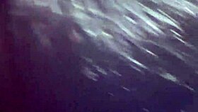 morena safada sucked everything and swallowed all the milk at the end 😏