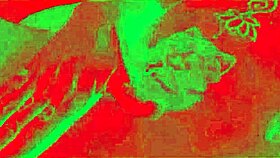 Caroleta Roots and Neto Psy fuck in the car without a condom and he cums inside