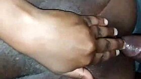 Mr10curve And Ocean Paradise