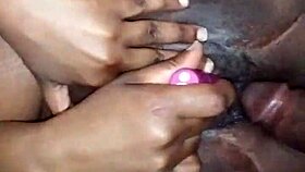 Mr10curve And Ocean Paradise