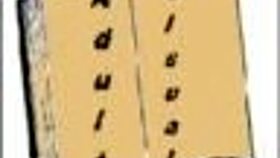 Intense Sex in Being a Dik Chick Route