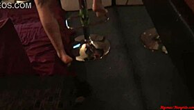 my ass is the only option pov