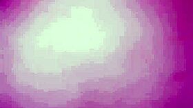 Oh, La Gordita Gets On All Fours For That Pussy Action!