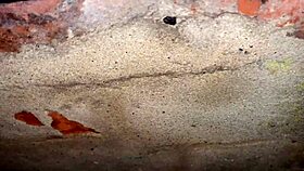 Cracky and the TV Reality Show