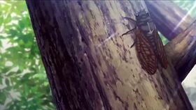 Hentai Midareuchi Scene 1 got me trippin’ over this wild threesome action!